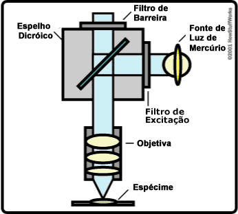 Distribuição Amostral das Diferenças Exemplo III: As lampadas de luz de Mercúrio para microscopia de fluorecência do fabricante A têm