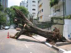 de Mauá - SP, potencializando-se os serviços