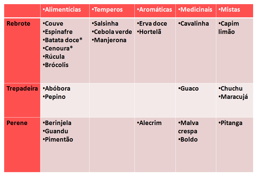 A horta foi criada uma matriz de interesses para definir critérios de escolha das plantas que seriam priorizadas para o cultivo; uma vez que esta tem um caráter mais didático do que produtivo, ou