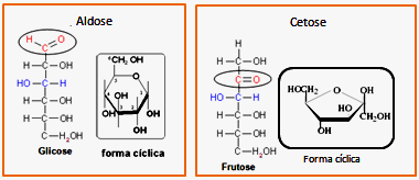 Observe os exemplos abaixo: Trioses: três átomos de carbono (C 3 H 6 O 3 ); Tetroses: quatro átomos de carbono (C 4 H 8 O 4 ); Pentoses: cinco átomos de carbono (C 5 H 10 O 5 ).