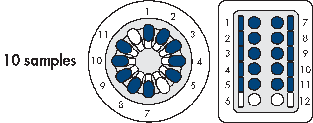 2 amostras 3 amostras 4 amostras 5 amostras 6 amostras 7 amostras 8 amostras 9 amostras 10 amostras Figura 19. Carregar a centrífuga e o agitador.