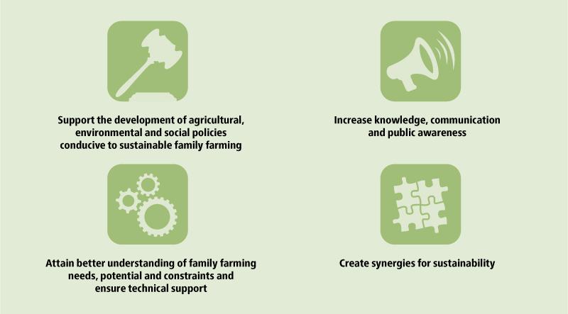 Quatro objetivos-chave do ano internacional Apoiar a formulação de políticas que promovam a agricultura familiar sustentável Aumentar o conhecimento, a comunicação e