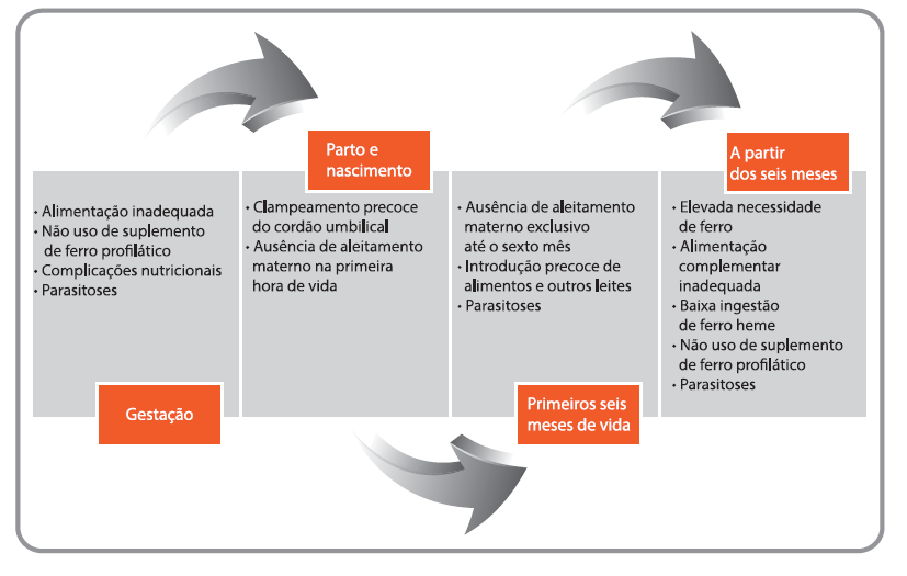 Determinantes da anemia por deficiência de ferro A deficiência de ferro em crianças costuma ter diferentes determinantes, tais como: as condições de saúde materna, no período gestacional, no parto e