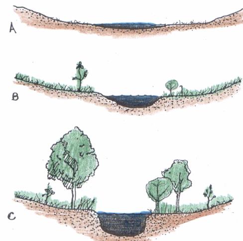 Proteção e conservação da água Um hectare bem conservado = 10 mil litros de água Floresta desmatada e curso do rio deteriorado Desmatamento impacta qualidade e