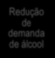 Diagnóstico sobre o consumo Capacitação de profissionais Associaçã o álcool e trânsito Política Nacional sobre