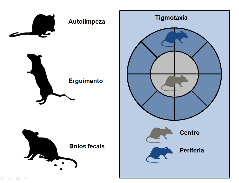 Figura 10 - Esquema ilustrando os