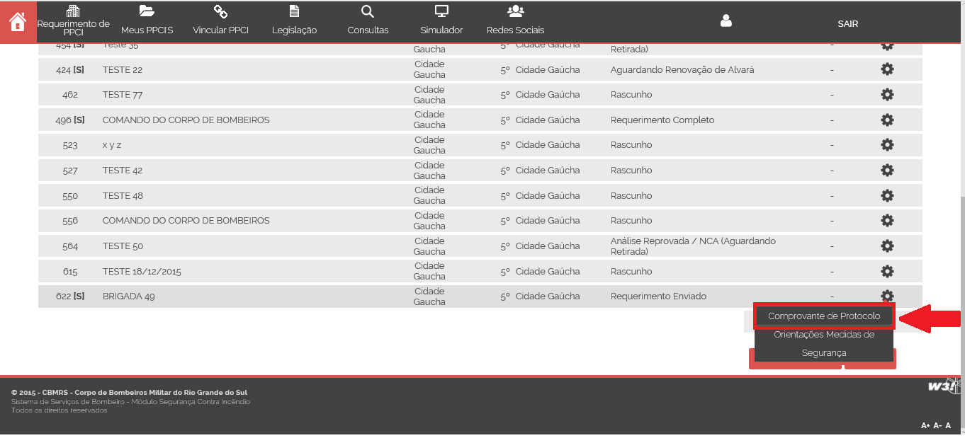 Após o envio do requerimento, o usuário será encaminhado para o menu Meus PPCIs,