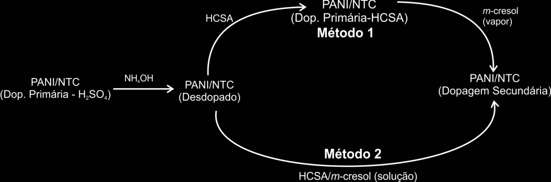 vapores do m-cresol (método1) e dopagem com uma solução de HCSA em m-cresol (método 2), conforme esquematizado na Figura 52. Figura 52. Esquema da dopagem secundária dos filmes PANI/NTC.