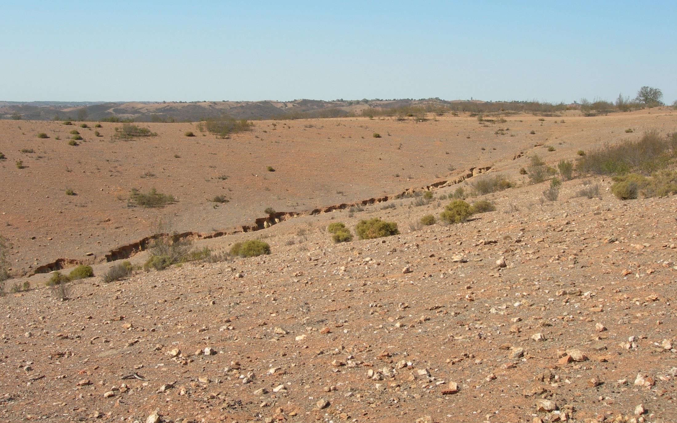 Conceito - CNUCD UNCCD (1994); Degradação do solo, paisagem e do sistema bioprodutivo terrestre, em áreas áridas,