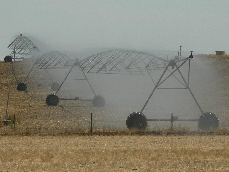 Factores Humanos Irrigação - Salinização http://www.dgadr.mamaot.
