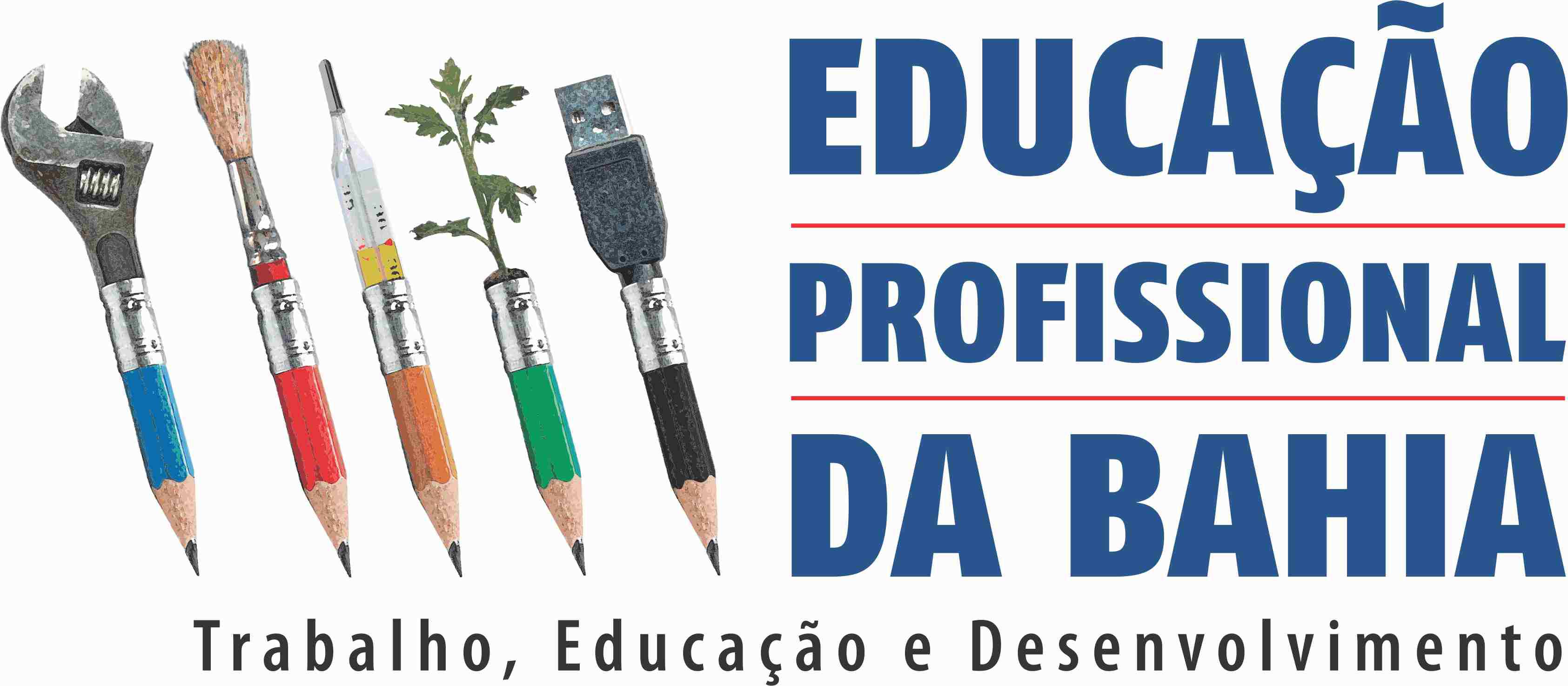 Realiza mapeamento e cadastramento de dados sociais, demográficos e de saúde, consolidando e analisando as informações obtidas; participa, com as equipes de saúde e a comunidade, da elaboração,