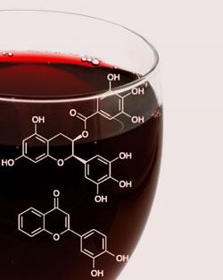 geográfica Composição química 23 Os elementos minerais surgem em posição privilegiada