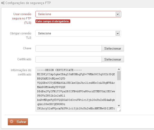 a conexão TLS será obrigatória ou não, ao selecionar Sim apenas conexões TLS serão permitidas e selecionando Não conexões TLS e FTP serão permitidas.