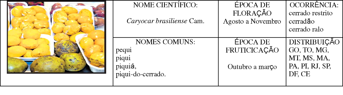 conclusão Época de colheita Novembro a fevereiro, variável com a região Tempo de amadurecimento: Conservação natural: Conservação refrigerada: - quando colhido de vez, amadurece entre um e três dias.