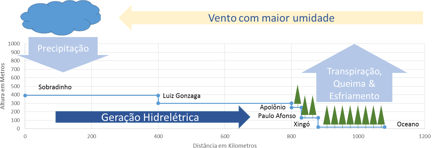 Porém, a plantação de biomassa diminuiria a quantidade de água que escoa para a foz do Rio São Francisco.