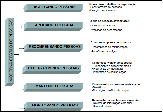 61 Chiavenato (2004) define gestão de pessoas como um conjunto integrado e interativo de seis processos básicos: processo de agregar pessoas; processo de aplicar pessoas; Processo de recompensar