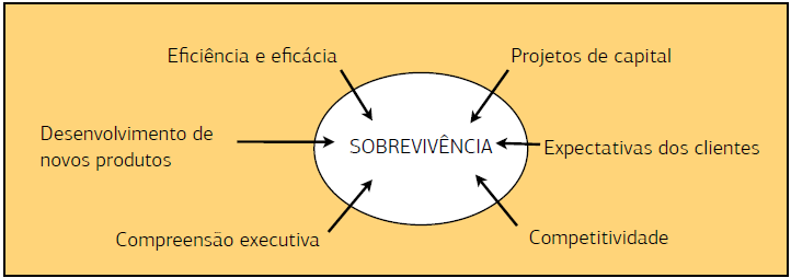 2. A história do gerenciamento de projetos Gerenciamento de projetos: 1985-2006 O gerenciamento de projetos passa a ser uma necessidade, não