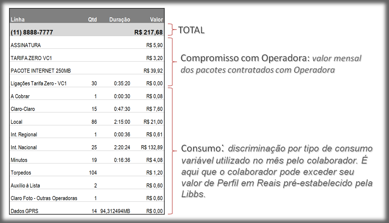 Entendendo melhor: Abaixo seguem as tarifas cobradas pela operadora, para o plano atualmente contratado.