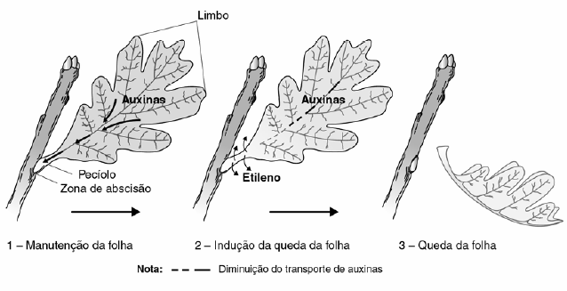 3 13 7.1.2. num ambiente dulçaquícola (água doce). 7.2. Justifique a resposta dada na questão 7.1.1.. 7.3. Estabeleça a correspondência entre cada uma das letras das afirmações seguintes, relativas à actividade do nefrónio de Mamíferos, e um dos números da chave.