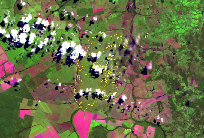 Diferenciação de classes de uso da terra: Análise temporal Floresta Degradação