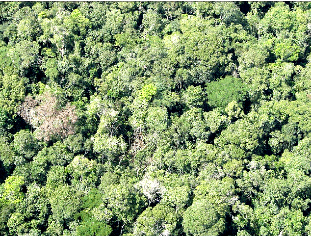 Processos de mudança do uso da terra Troca, substituição -