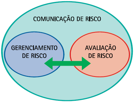 Estratégias de gerenciamento de risco Gerenciamento de risco - cada situação de risco requer estratégias diferenciadas de gerenciamento, que permitam a identificação e o controle de eventos incertos