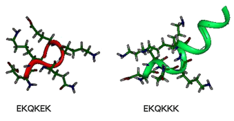 Figura 5. Alinhamento de seqüências de aminoácidos 60 primeiros aminoácidos do terminal N - das proteínas capsídicas de 13 isolados brasileiros de Papaya ringspot vírus (PRSV).