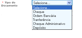 6 Na medida em os dados serão inseridos na tela surgirão novos quadros para preenchimento e ao final a visualização será conforme tela abaixo: Vamos falar dos tópicos separadamente: Conforme pactuado