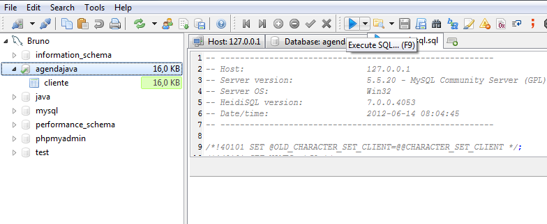 Importando Dados pelo HeidiSQL Ao mostrar o arquivo importado, clique em Executar SQL
