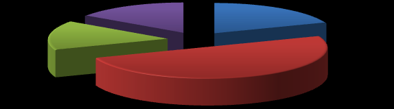 Sim e consideram uma mais-valia Sim mas não consideram importante Não estão informados Sem opinião 15% 4% 27% 54% Figura 4.