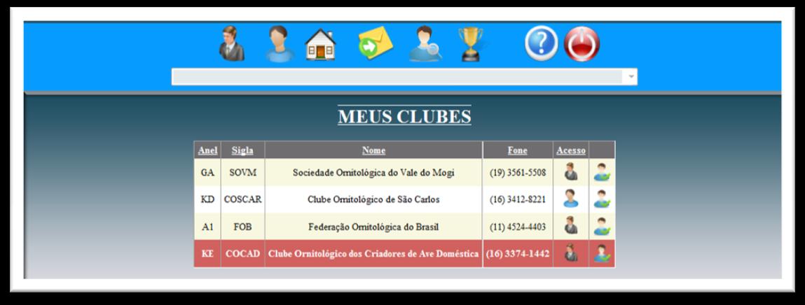 Nosso sistema parte do princípio que um clube nunca está sozinho, ou seja, sempre tem um criador que cuida ou executa as atividades do clube, tanto para um campeonato e até mesmo a realização de