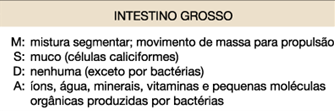 30 Controle neural e hormonal do sistema digestório Controle da motilidade e secreção: 1.