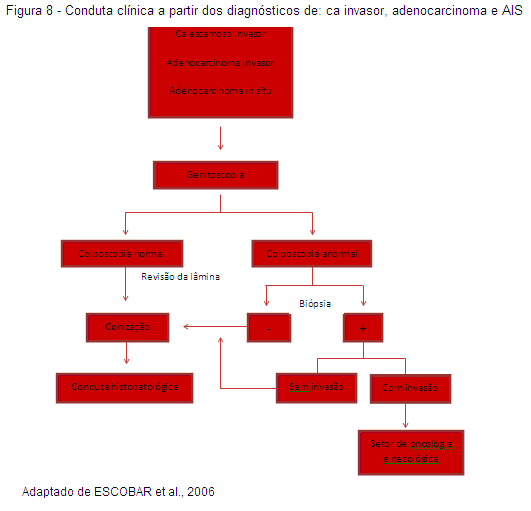 40 As vantagens da MCH fazem com que esta seja um exame complementar importante no rastreamento do ca cervical, de modo a detectar as falhas da colposcopia, sendo sua principal indicação a