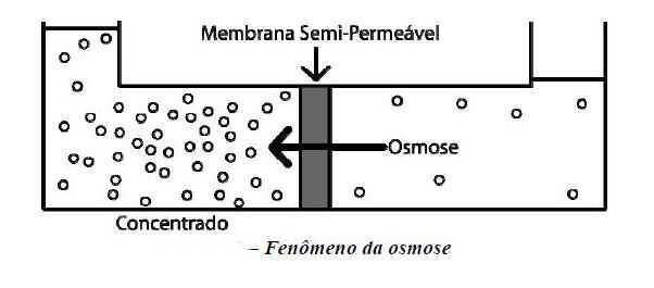 14 Figura 4 - Processo de osmose natural Disponível em: https://sites.google.