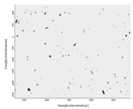 Todas as imagens foram obtidas usando o modo de transmissão, com resolução de 32 cm 1 e 4 scans. Os espectros dos compostos foram recolhidos com resolução de 4 cm -1 e 256 scans.