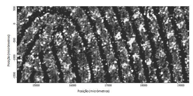 Figura 49 - Imagem química de infravermelho de uma secção de uma impressão digital, contaminada com cafeína, obtida no modo de transmissão numa janela de fluoreto de bário a 2874 cm -1.