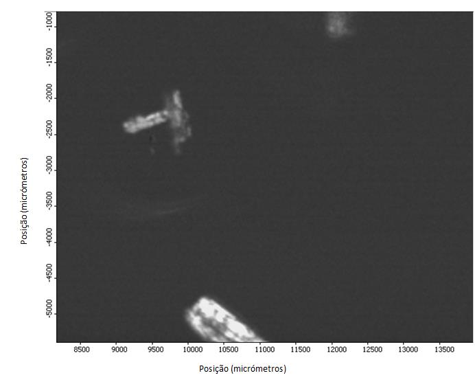 Figura 51 - Imagem química de infravermelho de uma secção de uma impressão digital, contaminada com ácido benzóico obtida no modo de transmissão numa janela de fluoreto de bário, à esquerda imagem