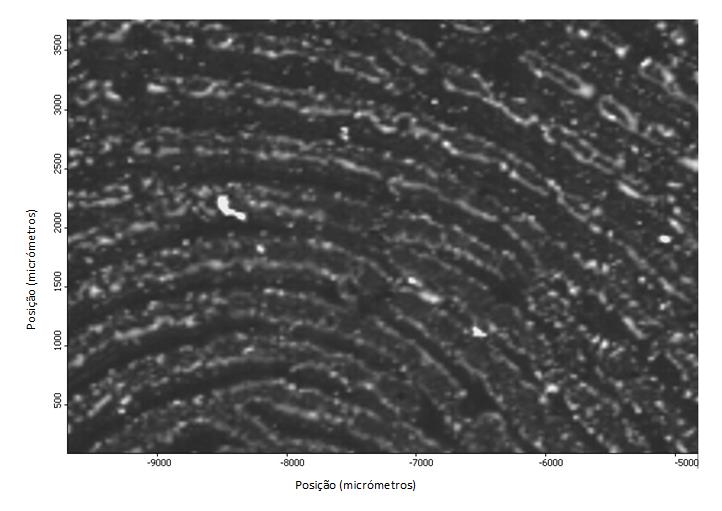 Figura 53 - Imagem química de infravermelho de uma secção de uma impressão digital, contaminada com mirtazepina obtida no modo de transmissão numa janela de fluoreto de bário a 2896 cm -1.