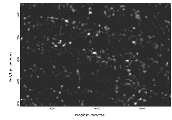 Figura 55 - Imagem química de infravermelho de uma secção de uma impressão digital, contaminada com uma substância desconhecida, obtida no modo de transmissão numa janela de fluoreto de bário a 2819