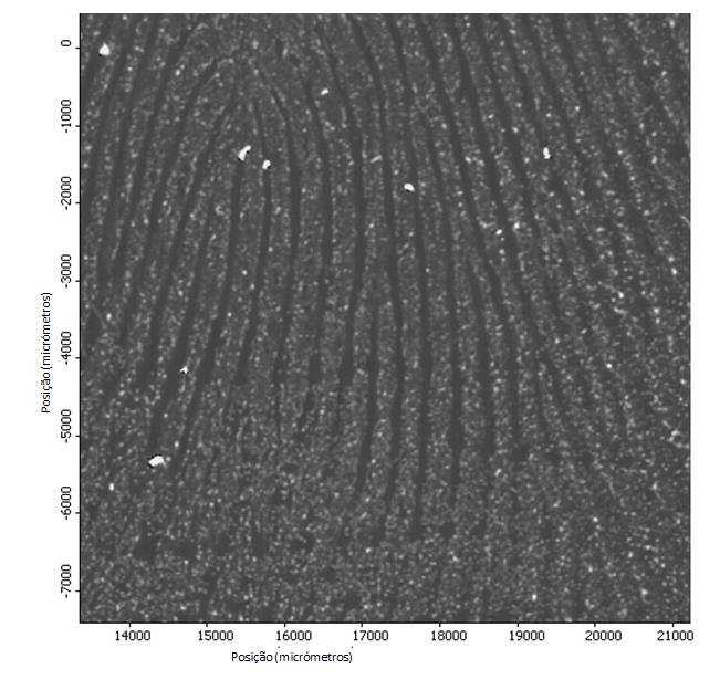 A Figura 64 mostra a imagem química de infravermelho de uma secção da impressão digital do voluntário 14.