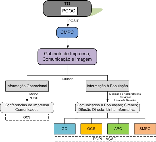 Procedimentos e instruções de coordenação: Instruções Específicas: O Director do Plano é o responsável pela