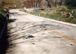 Histórico do Pavimento de Concreto no Brasil Av.