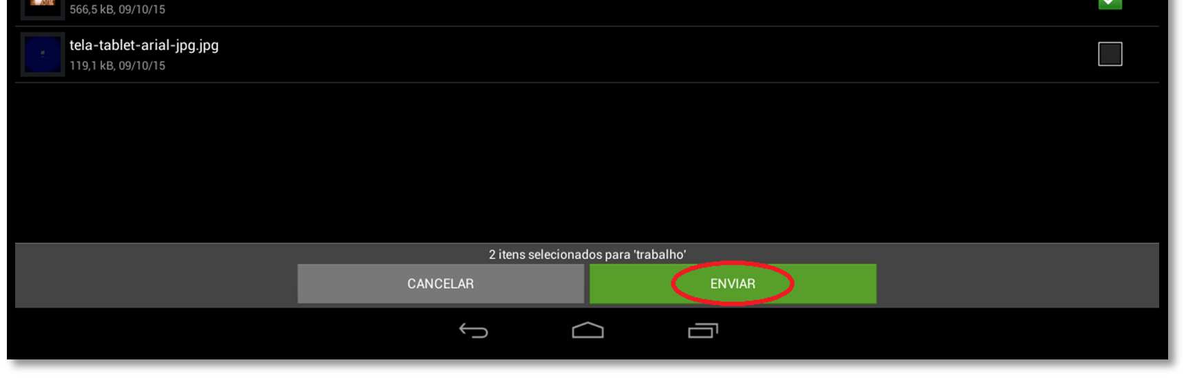 3.11. Escolha o arquivo clicando nele. Você pode marcar mais de um arquivo se desejar.