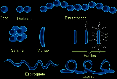 Tipos de