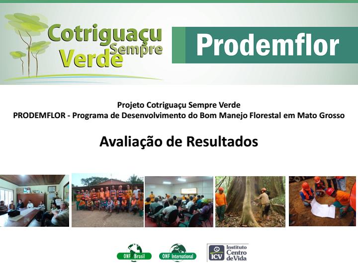 Alguns frutos da parceria com o ICV As capacitações foram o ponto forte destes três anos de projeto piloto Prodemflor Cotriguaçu, com bons resultados em campo,