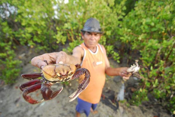 Francisco Canindé da Silva, catador de caranguejo no rio Potengi (RN). Fonte: http://goo.gl/u9rzau Podemos considerar que essa formação vegetal também pode ser chamada de vegetação litorânea.