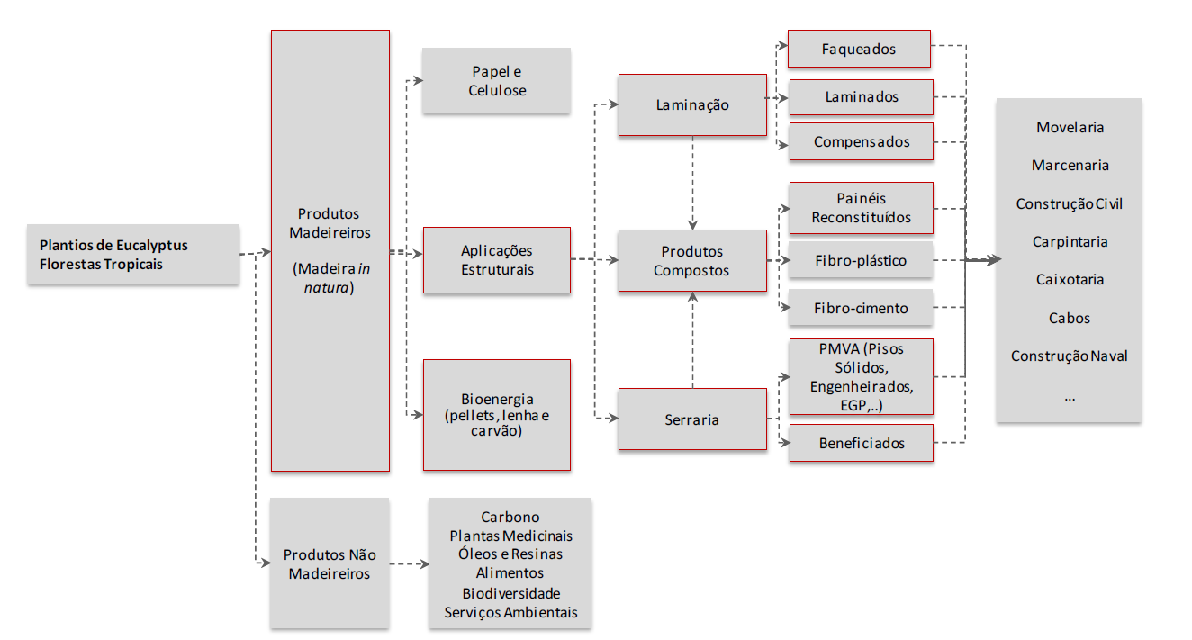 CADEIA INDUSTRIAL DE BASE FLORESTAL Problemas