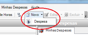 3. Meus Dados: Minhas Despesas: Para cadastro de despesas pelo funcionário, ele deverá apontá-la usando esta função ou pelo módulo Processos,