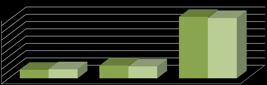 Nº empresas 38 Lote 2. Caracterização económica e empresarial da Eurorregião 2.5.