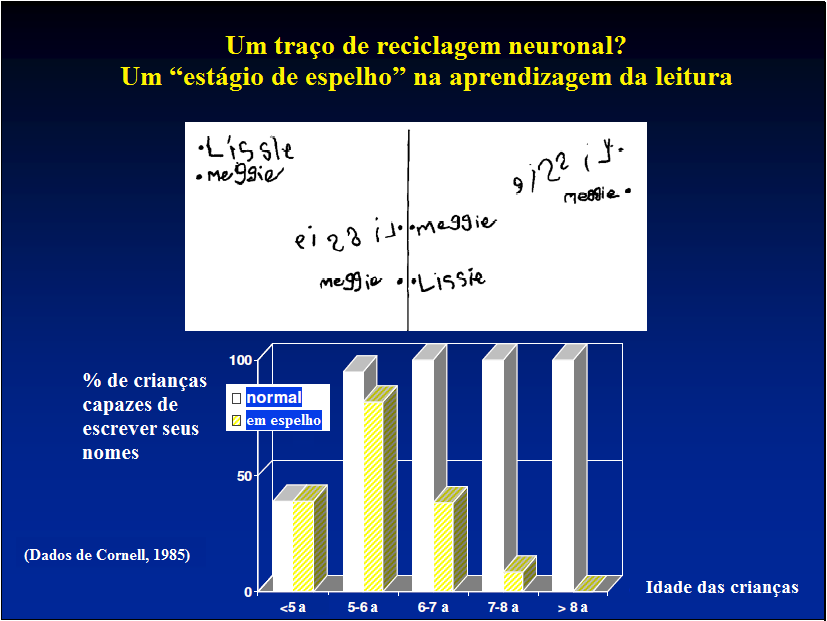 FIGURA 15